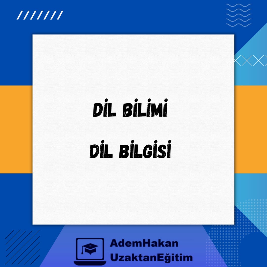 Dil Bilimi / Dil Bilgisi ve Temel Dil Bilgisi